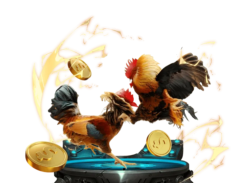 Bảo mật và quyền riêng tư Haybet